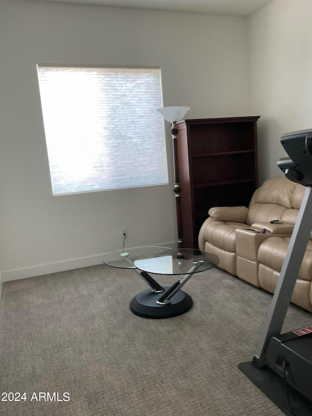 sitting room featuring carpet floors