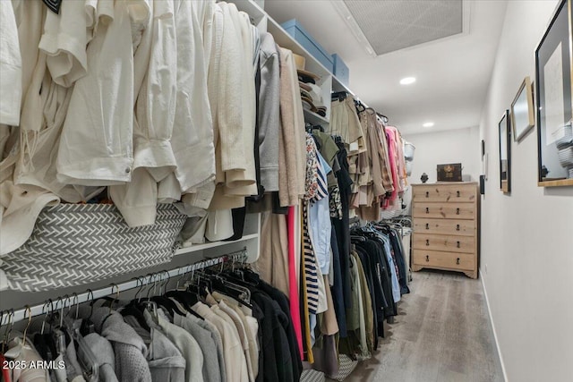 spacious closet with light wood-type flooring