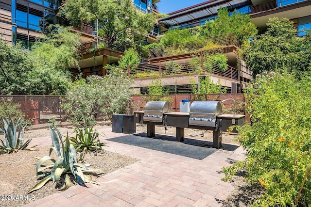 view of patio / terrace with grilling area