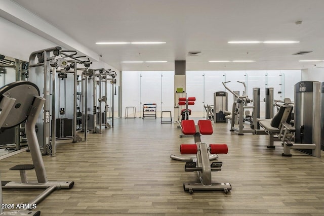 exercise room featuring wood-type flooring