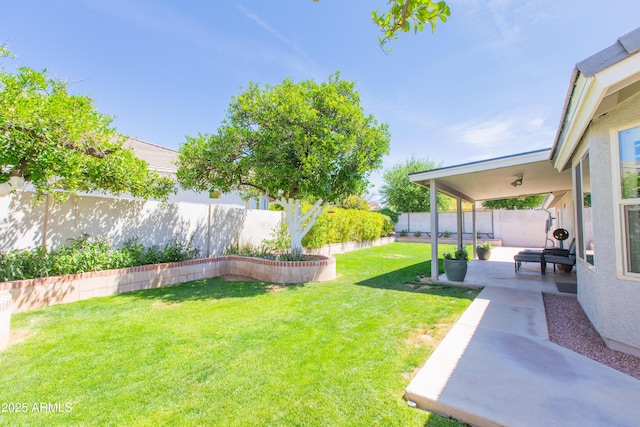 view of yard featuring a patio and a fenced backyard