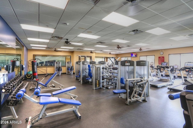 workout area with a wealth of natural light, a paneled ceiling, visible vents, and a ceiling fan
