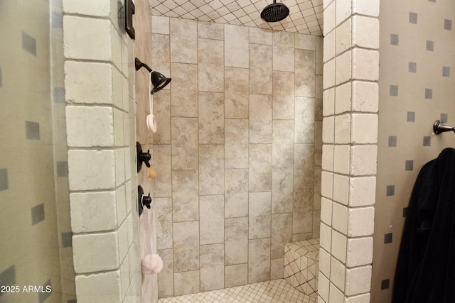 9842 E Celtic Dr, Scottsdale, AZ 85260 - full bathroom with a tile shower