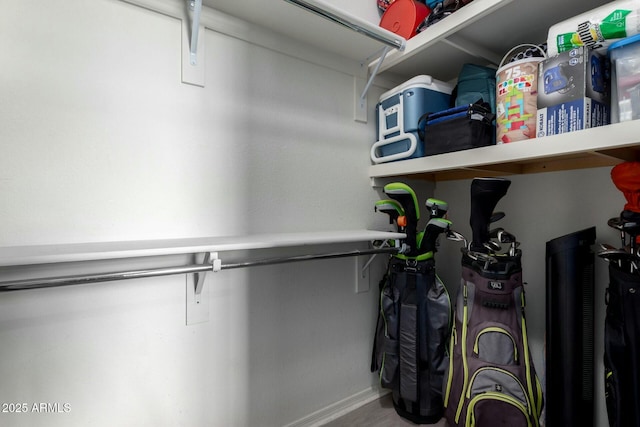 view of spacious closet