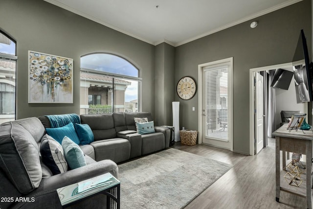 living area featuring crown molding and wood finished floors