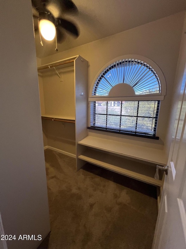 15230 N Blackbird Dr, Fountain Hills, AZ 85268 - walk in closet with carpet flooring and a ceiling fan