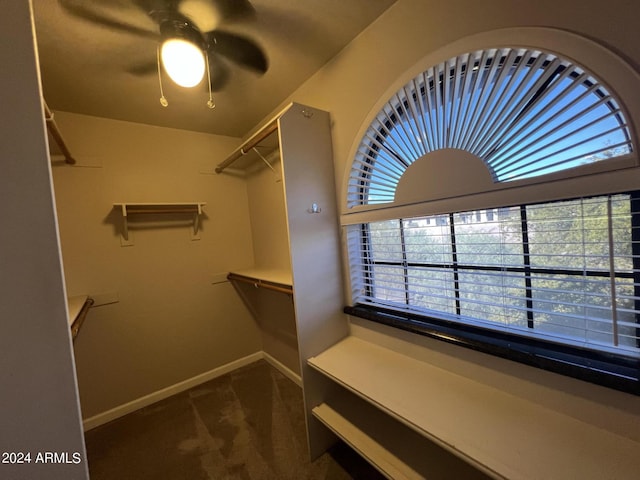 15230 N Blackbird Dr, Fountain Hills, AZ 85268 - walk in closet with dark carpet and a ceiling fan