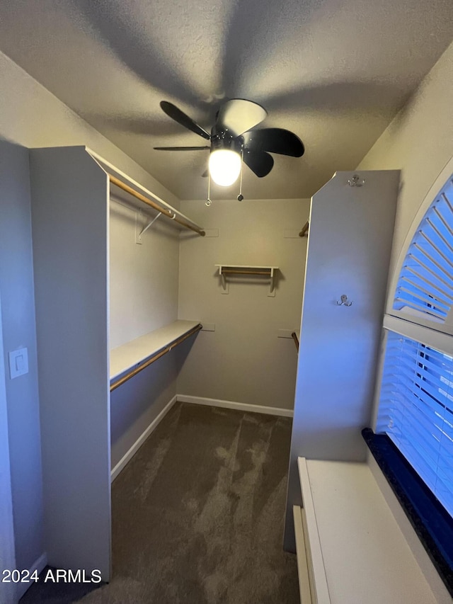 15230 N Blackbird Dr, Fountain Hills, AZ 85268 - walk in closet with carpet and a ceiling fan