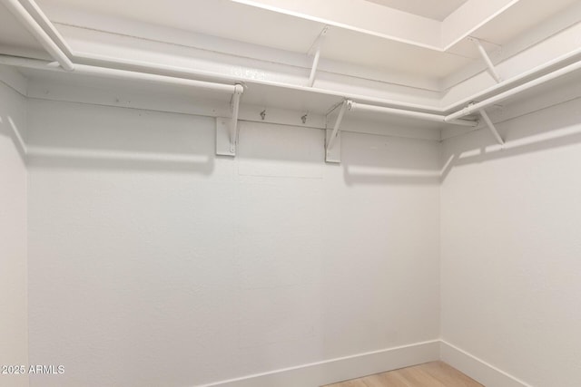 2348 E Diamond Ave, Mesa, AZ 85204 - spacious closet with light wood-type flooring