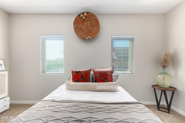 bedroom featuring carpet floors