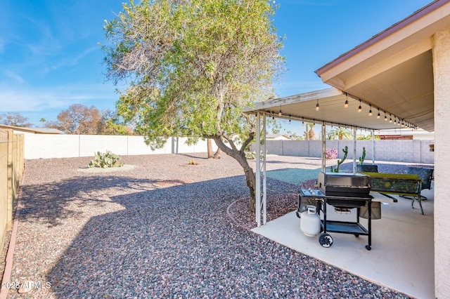 view of yard featuring a patio area