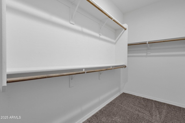 spacious closet with carpet