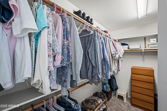 2243 E Cortez Dr, Gilbert, AZ 85234 - spacious closet with carpet flooring