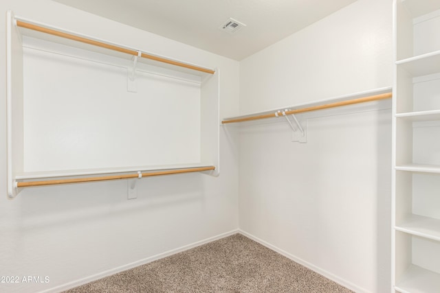 spacious closet featuring carpet