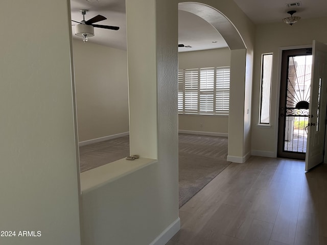 entrance foyer featuring ceiling fan, a wealth of natural light, and carpet