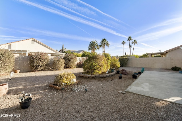 view of yard featuring a patio area