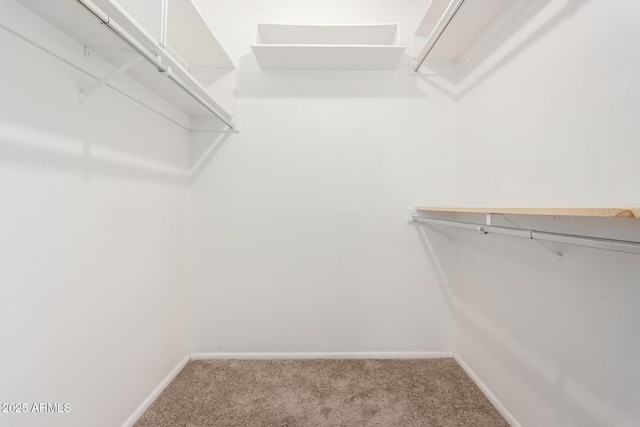 walk in closet featuring carpet