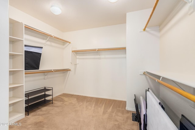 spacious closet with light colored carpet