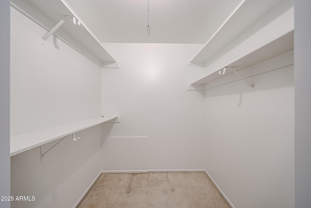walk in closet with light colored carpet