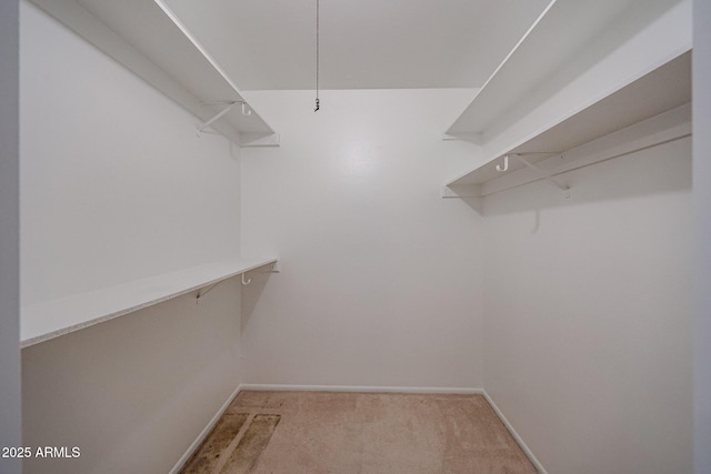 spacious closet with light carpet