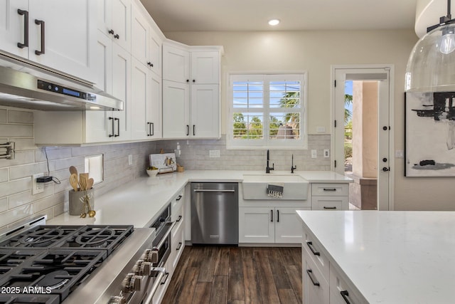 654 E County Down Dr, Chandler, AZ 85249 - kitchen with appliances with stainless steel finishes, a sink, under cabinet range hood, dark wood-style flooring, and white cabinetry