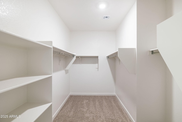17778 W Turquoise Ave, Waddell, AZ 85355 - walk in closet featuring carpet flooring