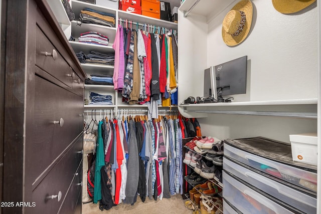 spacious closet with light colored carpet