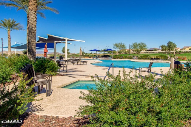 view of swimming pool with a patio area