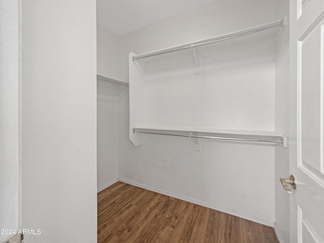 11168 E Lost Canyon Ct, Gold Canyon, AZ 85118 - spacious closet with hardwood / wood-style flooring