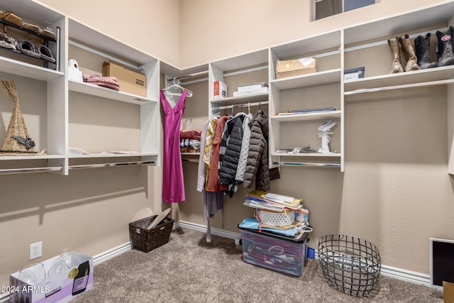 walk in closet featuring carpet flooring