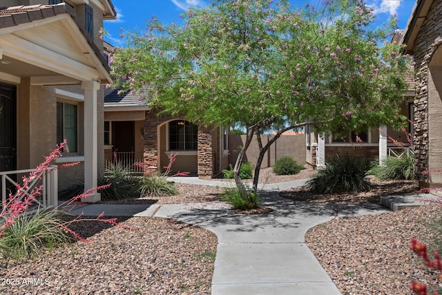 17802 N 114th Ln, Surprise, AZ 85378 - view of yard