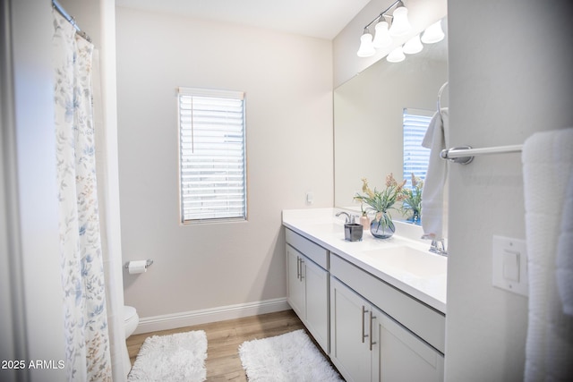 full bathroom featuring plenty of natural light, a sink, wood finished floors, and double vanity