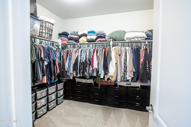 walk in closet with carpet flooring