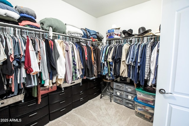spacious closet featuring carpet floors
