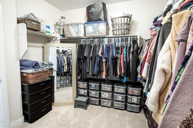 spacious closet featuring carpet