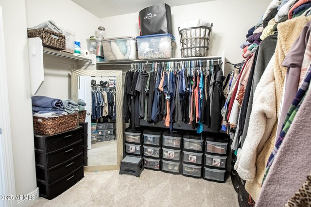 6460 W Springfield Way, Florence, AZ 85132 - spacious closet featuring carpet