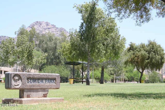 view of community with a lawn