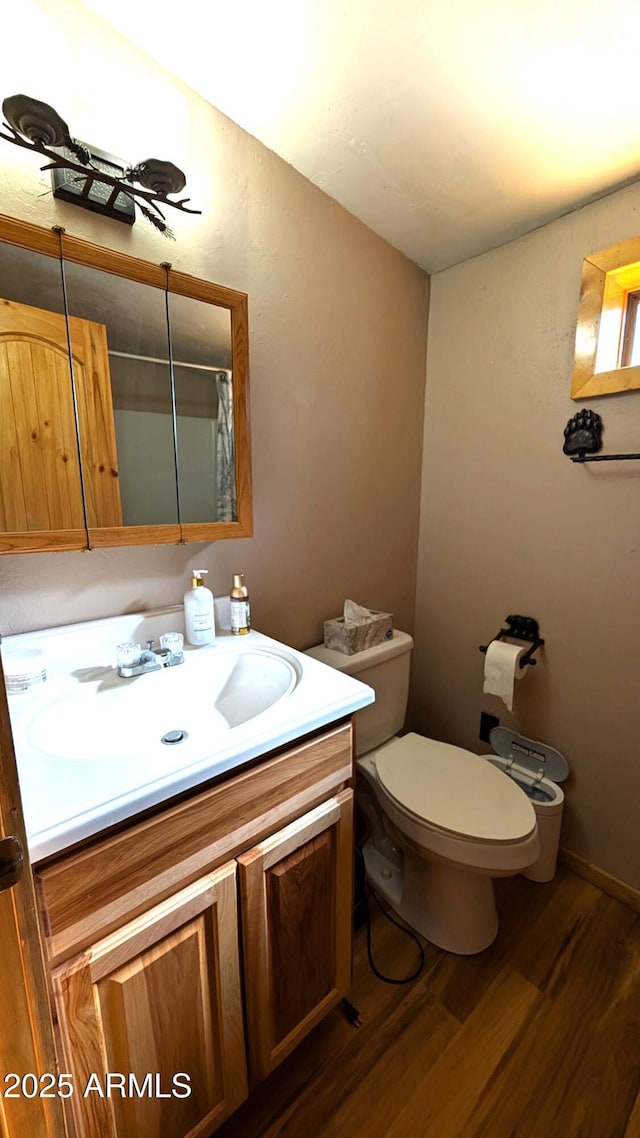 2425 Tall Trees Loop, Forest Lakes, AZ 85931 - bathroom featuring wood finished floors, vanity, and curtained shower