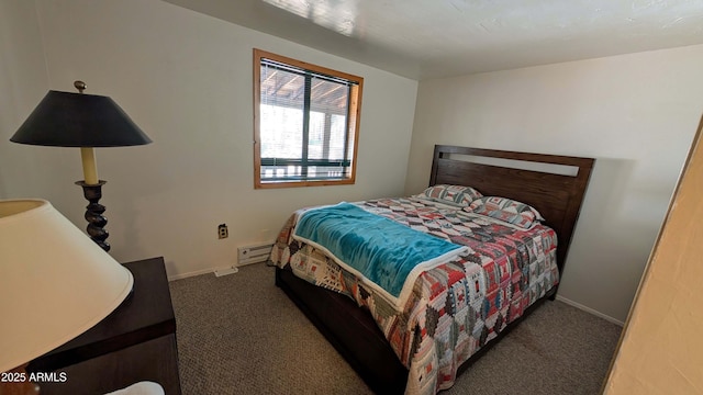 2425 Tall Trees Loop, Forest Lakes, AZ 85931 - bedroom with carpet floors and a baseboard radiator