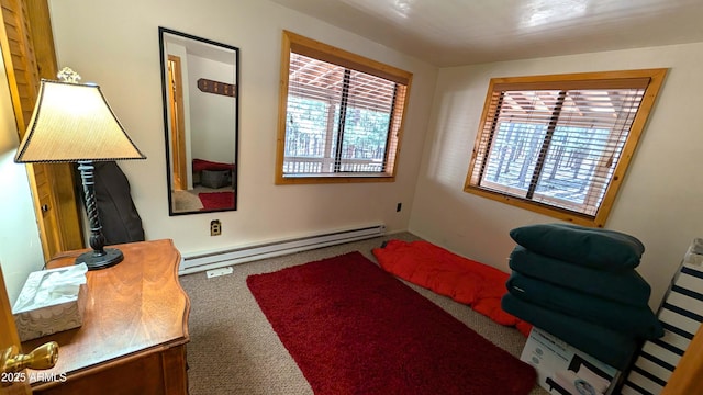 2425 Tall Trees Loop, Forest Lakes, AZ 85931 - office space with a baseboard radiator, healthy amount of natural light, and carpet floors