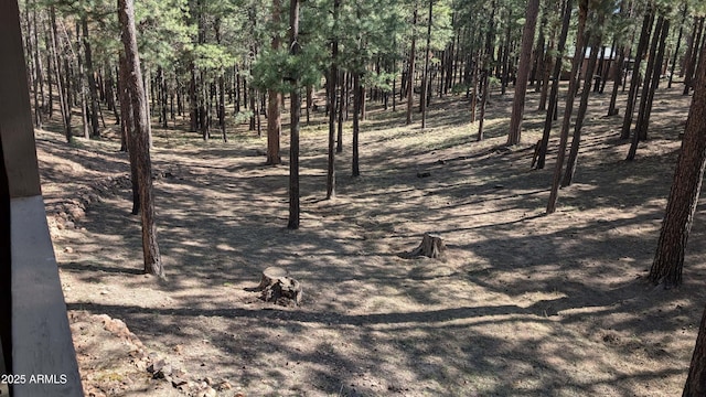 2425 Tall Trees Loop, Forest Lakes, AZ 85931 - view of home's community