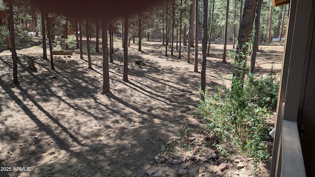 2425 Tall Trees Loop, Forest Lakes, AZ 85931 - view of yard