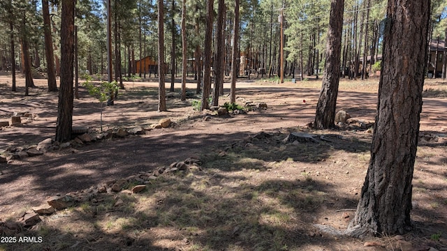 2425 Tall Trees Loop, Forest Lakes, AZ 85931 - view of yard
