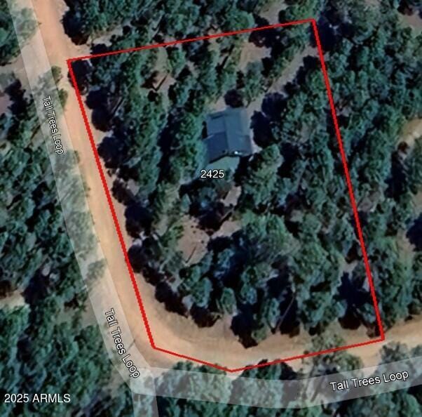 2425 Tall Trees Loop, Forest Lakes, AZ 85931 - map / location with property boundaries highlighted