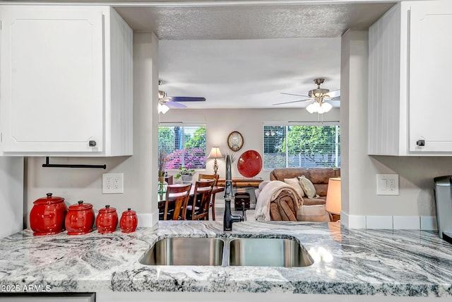 kitchen featuring a sink, ceiling fan, and a wealth of natural light