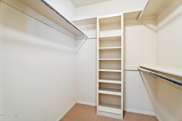 walk in closet featuring carpet flooring