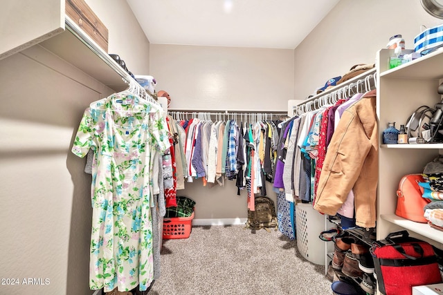 walk in closet with carpet