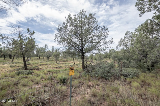 view of local wilderness