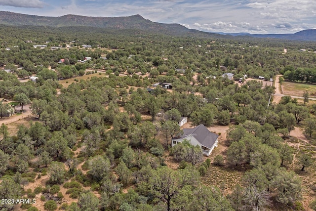 birds eye view of property featuring a mountain view