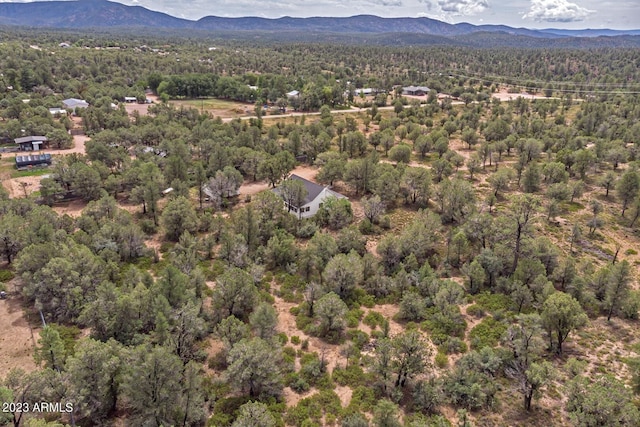 bird's eye view featuring a mountain view